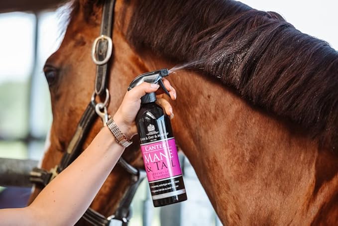 Tack Shack of Ocala- Carr & Day & Martin Canter Mane & Tail Spray and Canter Coat Shine Spray for Horses (Canter Mane & Tail Spray (500mL))