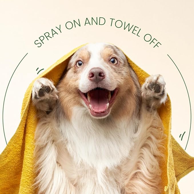 Best Shot ONE Shot Dry Clean Spray, Waterless Pet Grooming Spray for Pets, Alcohol-Free Formula, Safe for Any Dog, Cat, and Horse, 1 Gallon