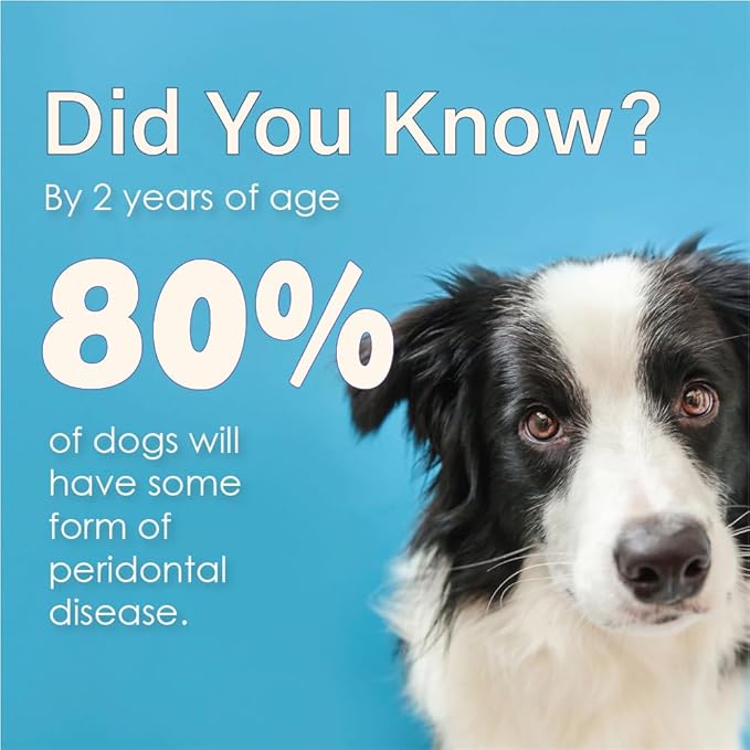 Advanced Enzymatic Toothpaste – Safe and Natural Dog Oral Care Toothpaste – Freshens Breath, Fights Plaque and Reduces Tartar – Tasty Peanut Butter Flavor – 3 Oz