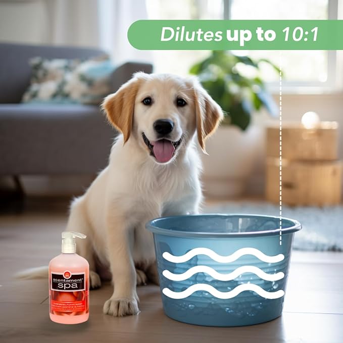 Best Shot Scentament Spa Caressing Puppy Wash, Mandarin Jasmine Honey, 16 oz