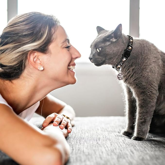 2Pcs Breakaway Cats Collars Cat Collars for Boy & Girl Cats Adjustable Kitten Collars with Bell,Black+Gray,8"-13.1"