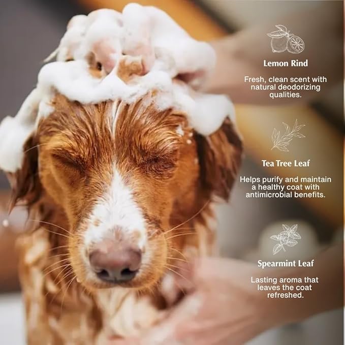 Aesop Pet Shampoo | Gentle Dog Shampoo and Coat Wash with Deodorizing Properties | Citrus, Fresh Scent | 16.9 fl oz