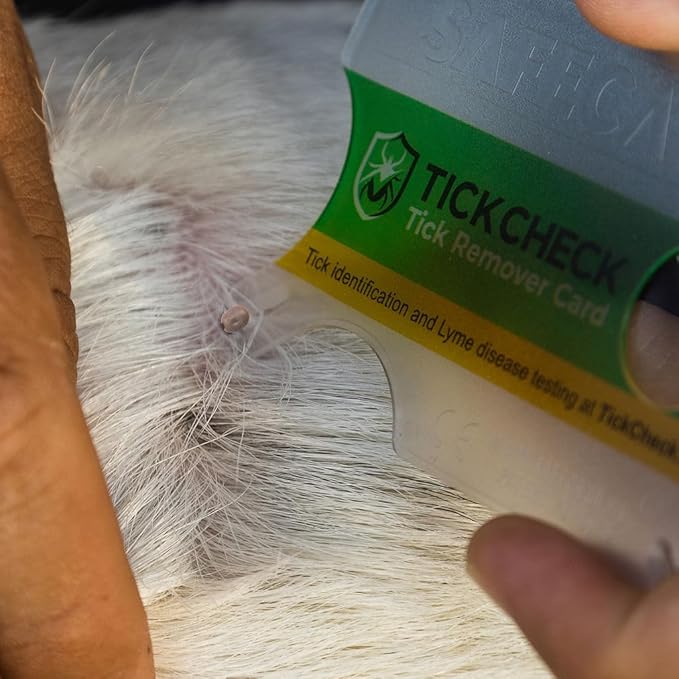 Tick Remover Card - Wallet Sized Tick Removal Tool with Free Tick ID Card & Testing Information - for People, Dogs, Cats (50)
