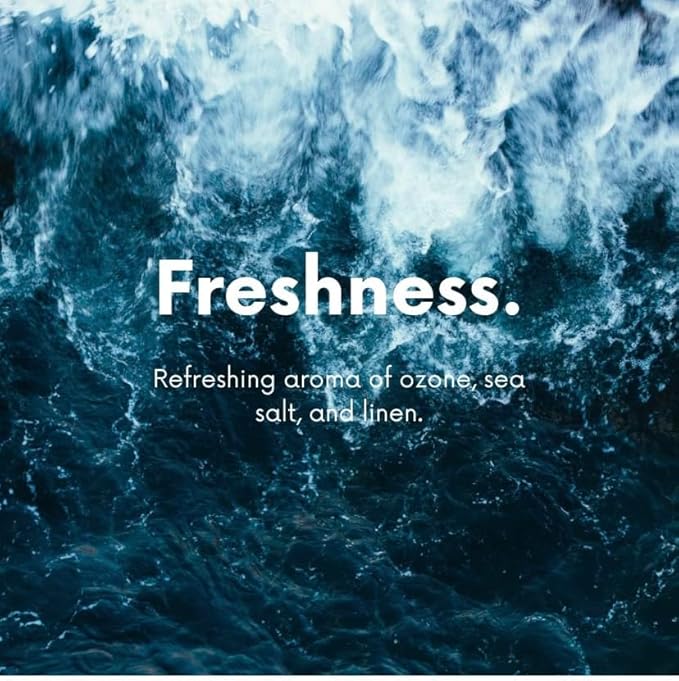 Home "Sea Mist" Cotton Blossom & Linen Natural Carpet Powder For Vacuuming, Mattress & Upholstery Freshener, Cat Litte/Dog Bed Odor Eliminator For Homes With Kids & Pets(Pack Of 4)