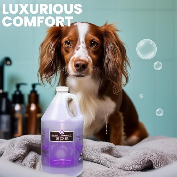Best Shot Scentament Spa Calming Conditioner, Skin Care Product for Any Dog and Cat, Hypoallergenic Puppy Supplies, Lavender Aloe, 1 Gallon