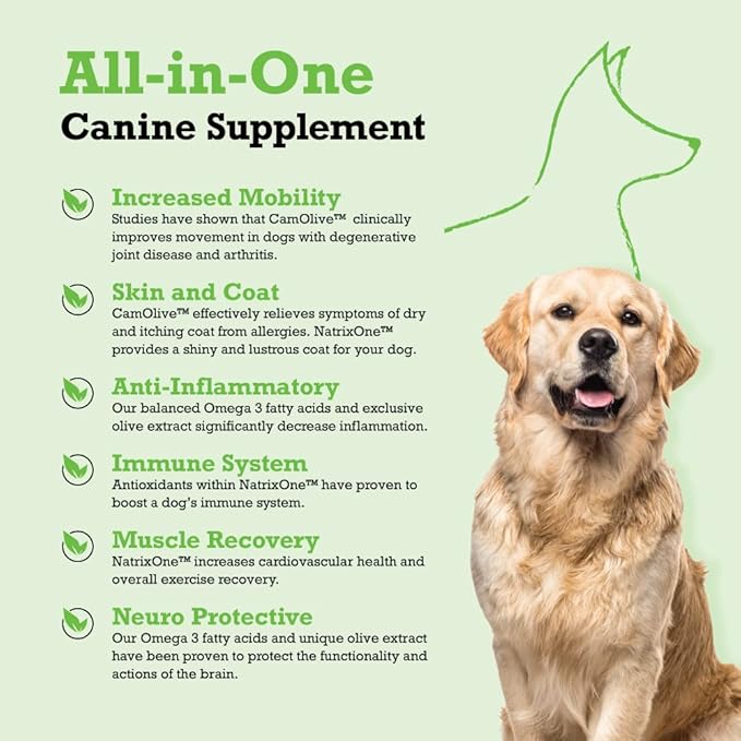 100% Pure Camelina Oil for Dogs, 8 oz - Dog Skin and Coat Supplement All-Natural Supplements, Support Hearts, Joints, Coats, Skin and Anti-inflammatory, Protective Care - Omega 3 by NatrixOne