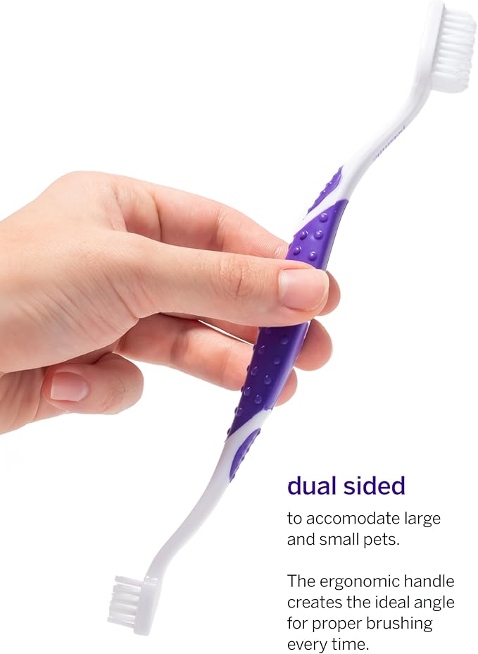 Petsmile Professional Pet Teeth Brushing Kit for Cats & Dogs- Only VOHC Accepted Toothpaste & Patented Toothbrush - Proven to Control Plaque & Tartar Calprox Formula (London Broil, 4.2 Oz)