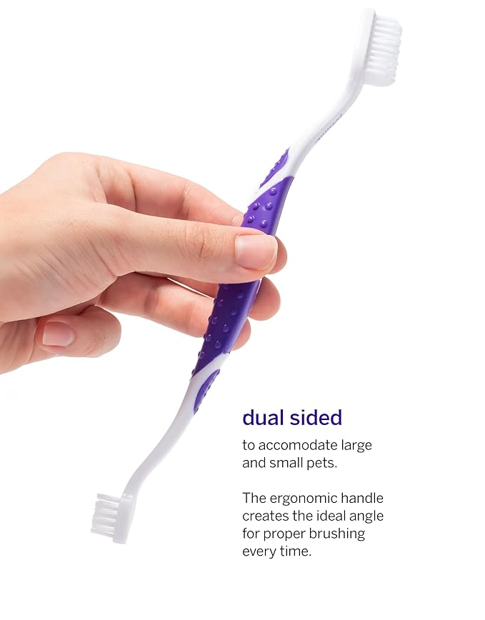 petsmile Professional Pet Toothbrush - Patented 45 Degree Cat & Dog Toothbrush for Small & Large Animals - Pet Accessories for Dental Care - VOHC Approved Teeth Cleaning - Dog Toothpaste Not Included