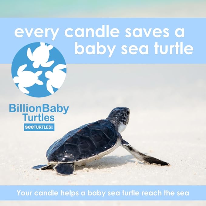 Harvest Howls | Mini Pet Friendly Candle | Pet Safe | All Natural Clean Burning Soy | Non-Toxic | Dog & Cat Safe | Pet Odor Eliminator | Air Freshening Scented Candle | 4 oz