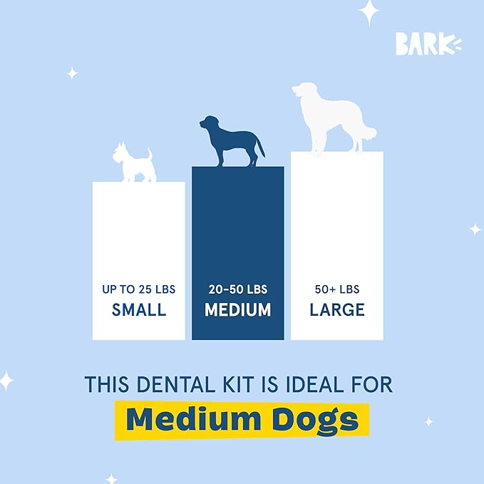 Barkbox Bright Durable Dental Kit, 15 Chew Sticks & Toothpaste - Medium Breeds (Berry Mint Flavored)