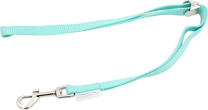 22" Grooming Loops in Turquoise - Secure and Stylish Restraints for Pet Grooming - Set of Essential Tools for Professional and Home Grooming