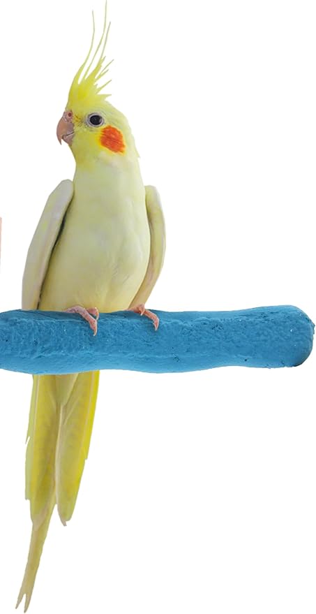 Sweet Feet and Beak Comfort Grip Safety Perch for Bird Cages - Pedicure Perch for Birds to Keep Nails and Beaks in Top Condition - Safe Easy to Install Bird Cage Accessories - X-Small 4.5"