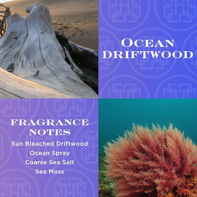 HomeWorx by SLATKIN + CO. Candle- Ocean Driftwood, 18 oz. 4-Wick Premium Scented Candle - 30-55 Hours Burn Time