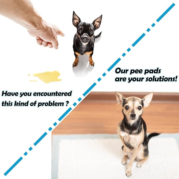 Rabbit Pee Pads, Disposable Super Absorbent Diaper, Pet Toilet/Potty Training Pads for Guinea Pigs, Hedgehog, Hamsters, Chinchillas, Cats, and Other Small Animals (33×45CM-100 Counts)