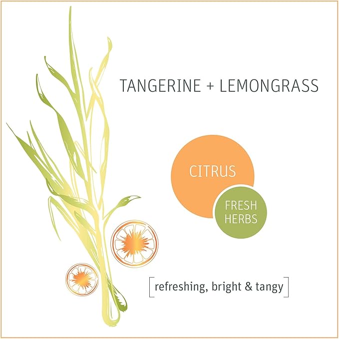 Grab Green Liquid Dish Soap, 16 Ounce (Pack of 3), Tangerine Lemongrass Scent, Biodegradable, Plant and Mineral Based, Removes Grease, Gentle on Hands