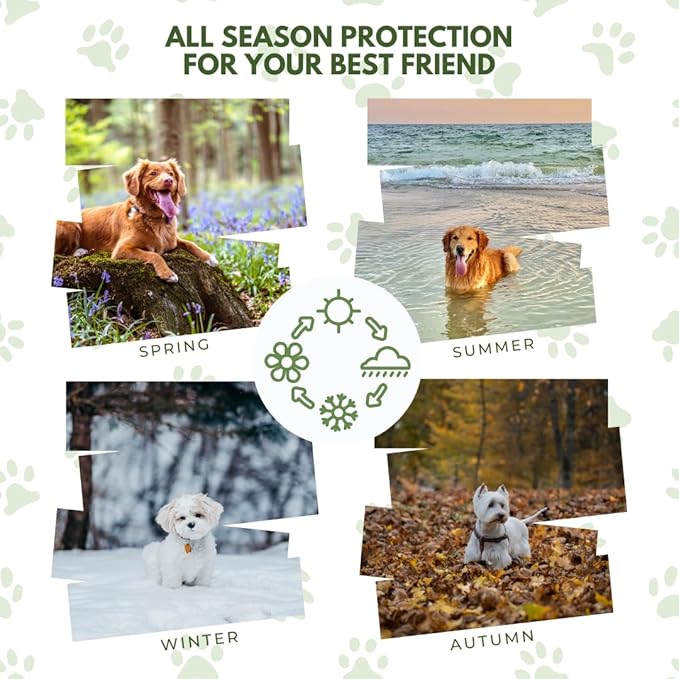 Rhoose Point Remedies Dog Paw Balm - Softens, Heals, Soothes & Protects Dogs Paws, Noses & Skin. All Natural, Organic Ingredients. Lick-Safe Protection for Dogs with Beeswax (2 fl.oz - Standard Tin)