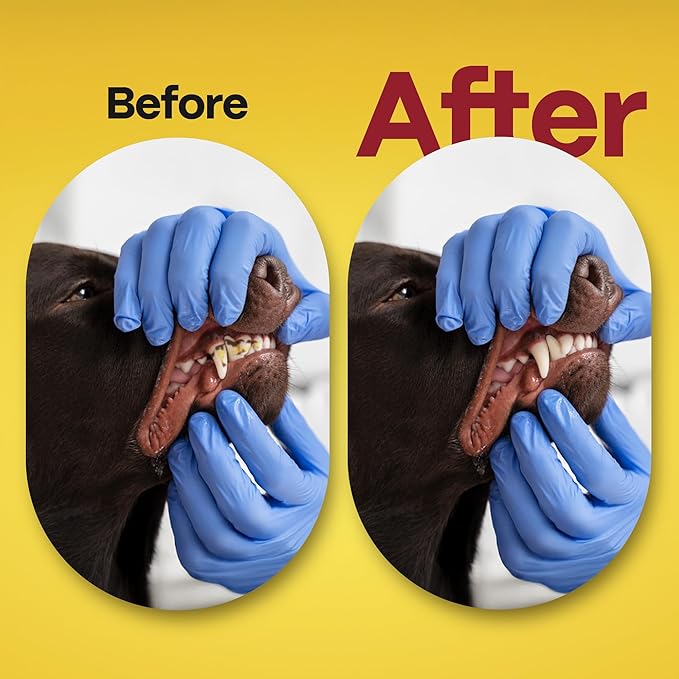 DOCO Dog Teeth Cleaning Wipes - Dog Tooth Brushing Kit, Remove Plaque & Tartar, Freshen Breath, No Rinse, Easy Pet Tooth Cleaning Kit for Oral Care, Ideal for Cat Owners - Chicken Flavor, 50 ct.