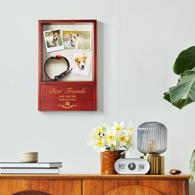 TJ.MOREE Dog Urns for Ashes - Memorial Display Case, Pet Sympathy Gifts - Best Friends Never Forgotten