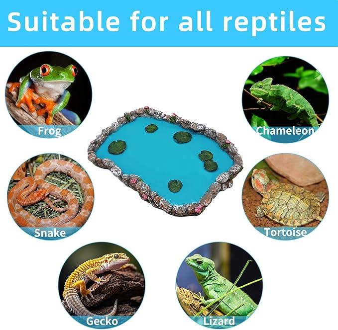 2PCS Reptile Feeding Dish Bearded Dragon Food Bowl Reptile Water Bowl for Gecko, Tortoise, Snake, Hermit Crab,Frog, Lizard (Large＋Medium)