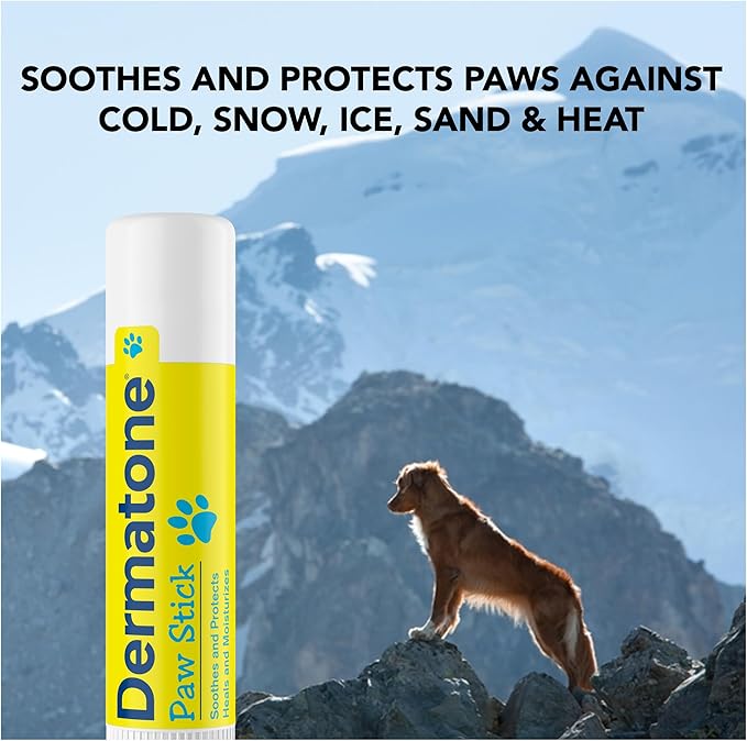 Dermatone Paw Stick for Dogs Stocking Stuffer | Natural Paw Balm for Cold, Heat, Salt, Sand & Snow | Moisturizing, Non-Toxic Paw Protector | Soothes, Repairs and Heals | 0.5oz Twist Stick