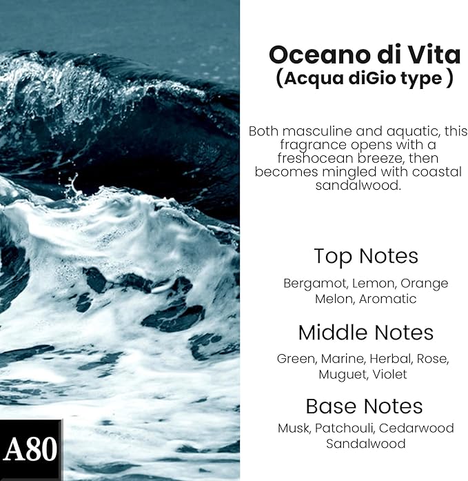 C Classy Car Air Freshener Hanging 2 Pack, Oceano Diffuser for Cars, Essential Oil Diffuser for C ar, Long-Lasting Fragrance, Car Air Fresheners for Women & Men Gift, Made in USA