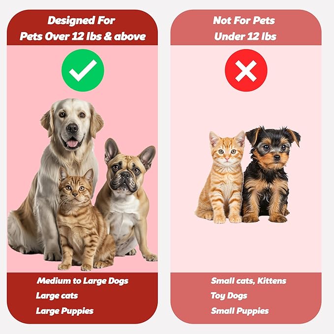 Pet Toothbrush for Dogs, Cats with Soft Bristles - Easy Teeth Cleaning & Dental Care, Non Slip Dual Head Dog Toothbrush for Medium & Large Pets, Toothpaste Not Included, Pack of 4(Multi)