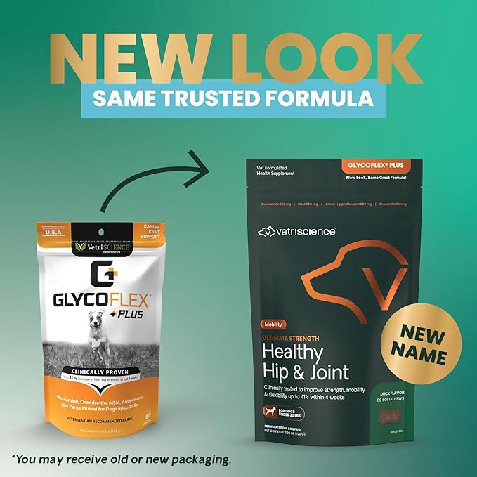 VetriScience Ultimate Strength Hip & Joint Supplement for Dogs, GlycoFlex Plus – MSM, Chondroitin & Green-Lipped Mussel Chews for Mobility, Flexibility, Comfort & Support, Duck Flavor, 60 Cnt