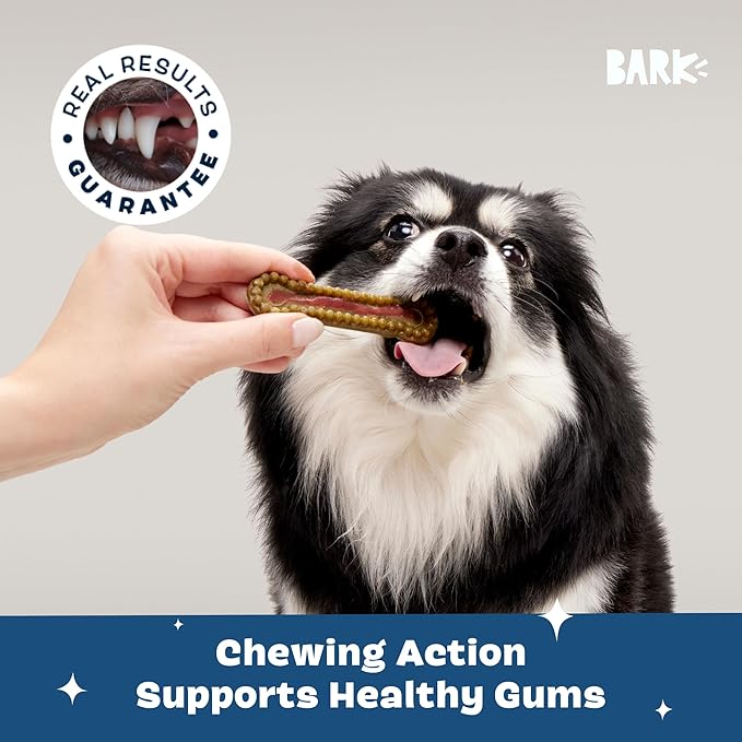 Barkbox Bright Durable Dental Kit, Berry Mint Flavored, 15 Chew Sticks & Toothpaste - Small Breeds