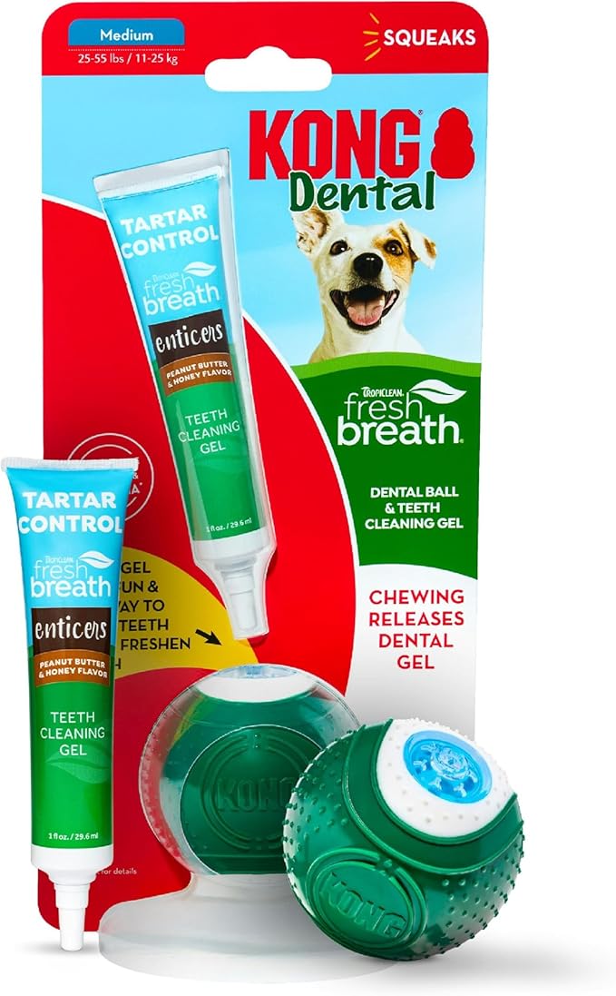 TropiClean Fresh Breath - Kong Dental Ball for Medium Dogs - Dog Teeth Cleaning Kit - Removes Plaque - Peanut Butter & Honey Dog Toothpaste, 1oz