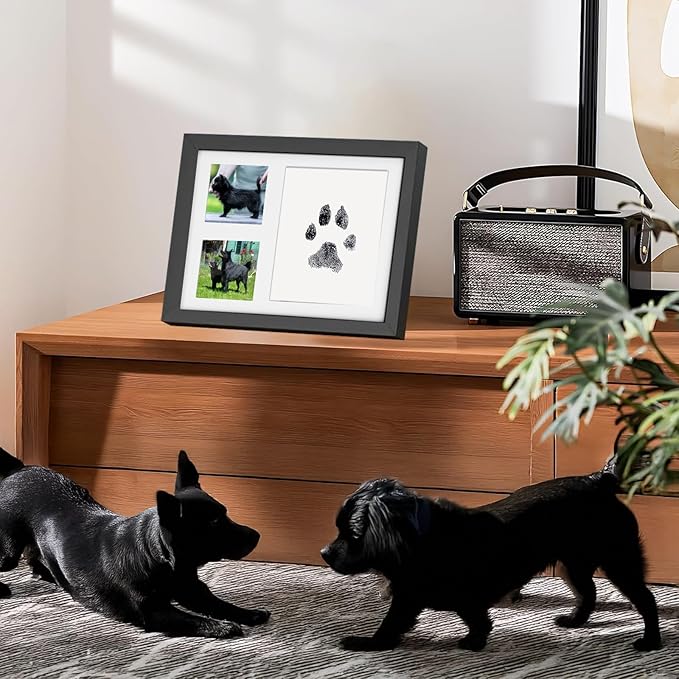 Paw Print Kit for Dogs & Cats, Inkless Pads (2), Reversible Stand/Wall-Mount Frame, Pet Paw Impression Gift Set (Black)