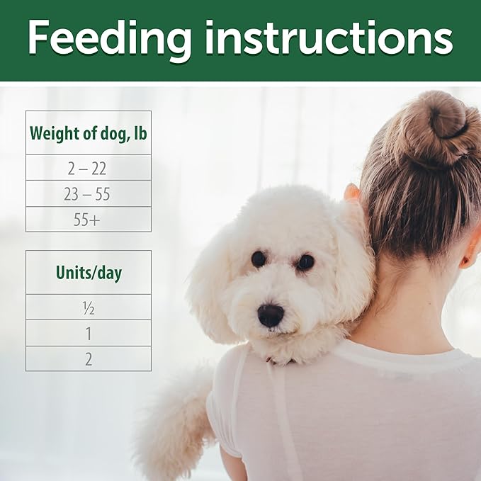 Nature's Protection Dental Chews for Dogs - Grain Free Dental Sticks - Natural Dog Breath Freshener Treats for Small & Large Breed Adult Dogs (Superior Care - Insects, 5.29 oz)