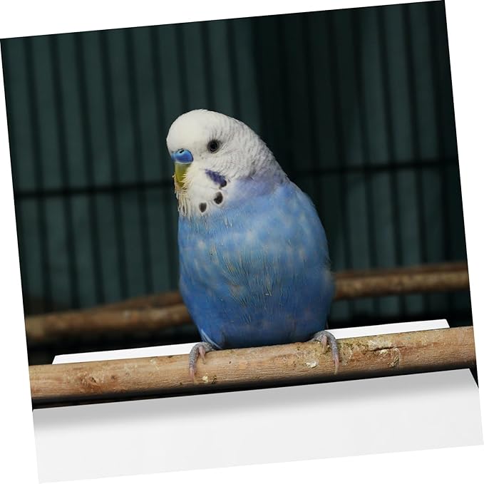 100PCS Bird Cage Liner Paper Disposable Parrot Cage Liners Absorbent Bird Paper Mats for Non-Toxic