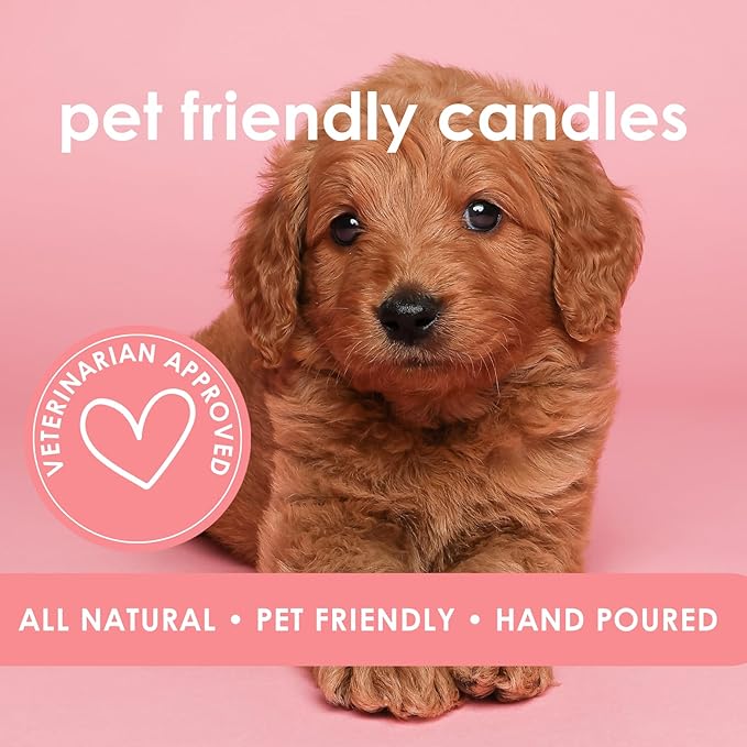 Island Daze | Pet Friendly Candle | Soy-Free Coconut Apricot Wax | Clean Burning | Non-Toxic | Veterinarian Approved | Pet Odor Eliminator | Air Freshening Scented Candle | 9 oz