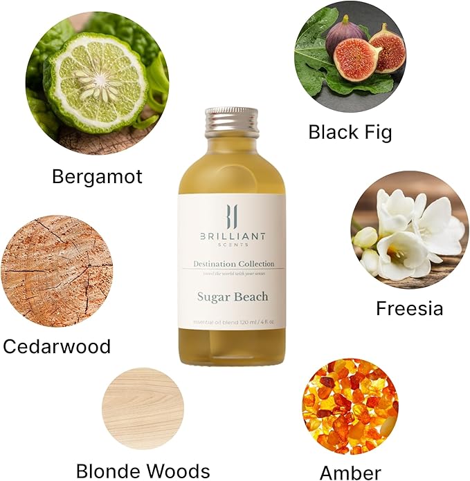 Brilliant Scents Sugar Beach Fragrance Oil 120ml - Premium Diffuser Oil for Home, Office, Hotels - Long Lasting, Plant-Based, Meets IFRA Standards, USA-Made - Fig, Rose, Blonde Woods