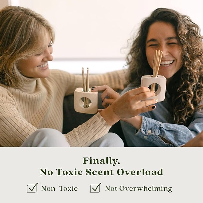 Enviroscent Non-Toxic Air Freshener for Home | Essential Oil Diffuser | Air Freshener & Room Freshener | Home Fragrance Last Over 30 Days | 32 Scent Stix Refills (Rainwater & Bamboo)