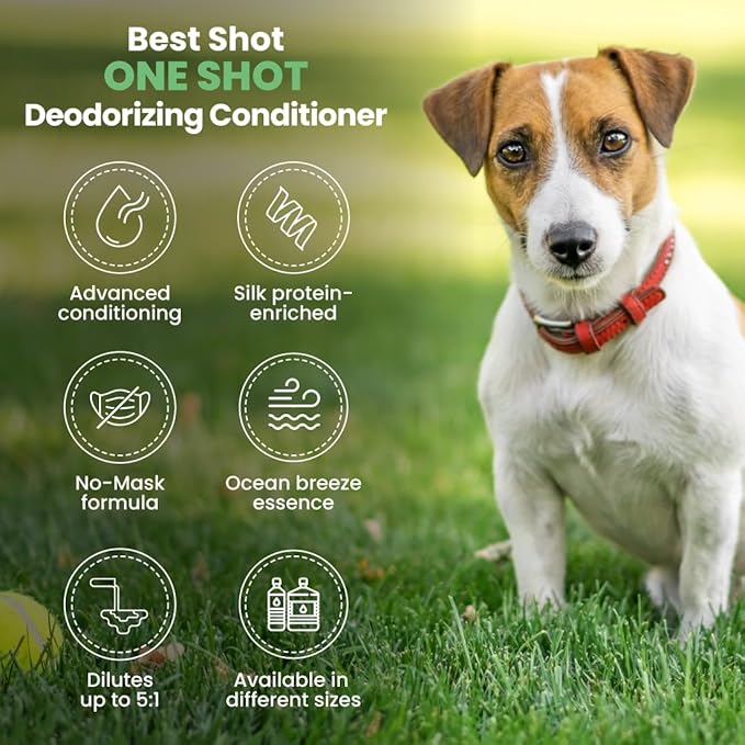 Best Shot ONE Shot Deodorizing Conditioner, Hydrating and Moisturizing Conditioner for Dogs, Cats, Horses, and Livestock, Removes Stubborn Odors, 1 Gallon
