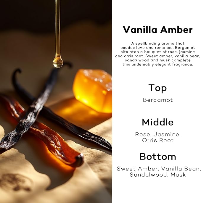 C Classy Car Air Freshener Hanging 2 Pack, Air Freshener Diffuser for Cars, Air Fresheners Diffuser oil For Car,Car Air Freshener For Women&Men, Made in USA