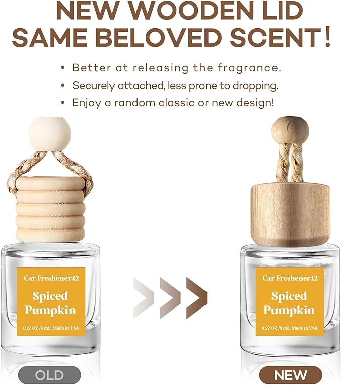 Car Air Freshener Hanging 2 Pack, Spiced Pumpkin Car Fresheners,Diffuser Oil for C ar,C ar Air Fresheners for Women & Men