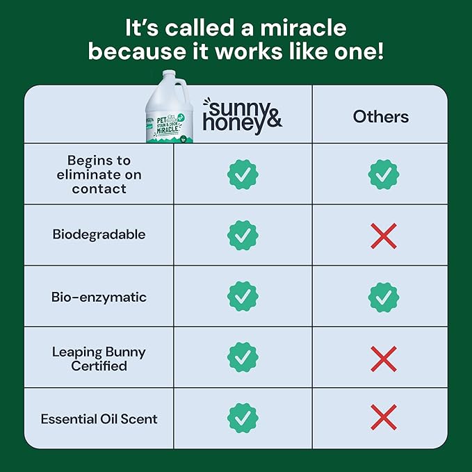 Sunny & Honey Pet Stain & Odor Miracle - 1 Gallon (128 Fl Oz), Spring Mint Scent - Carpet Shampoo, Cat Pee Enzyme Cleaner & Carpet Spot Remover for Upholstery & Mattress