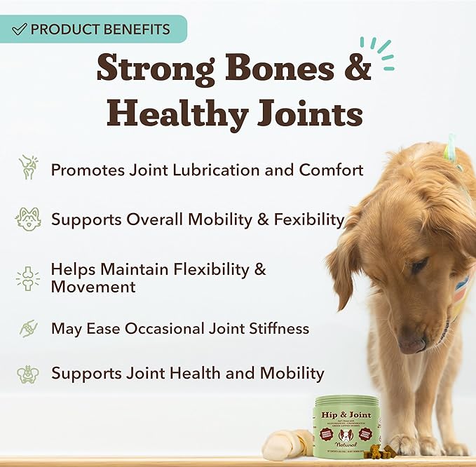 Natural Dog Company Hip & Joint Supplement for Dogs – Supports Mobility, Flexibility & Comfort, Glucosamine, Chondroitin, MSM & Turmeric, Chicken Flavor, 90 Count