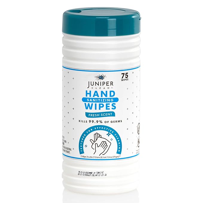 4 Pack Hand Sanitizing Wipes, Alcohol Free 300 Count Canister Disposable Hand Sanitizer Wipes, Fresh Scent, Lint Free & Durable