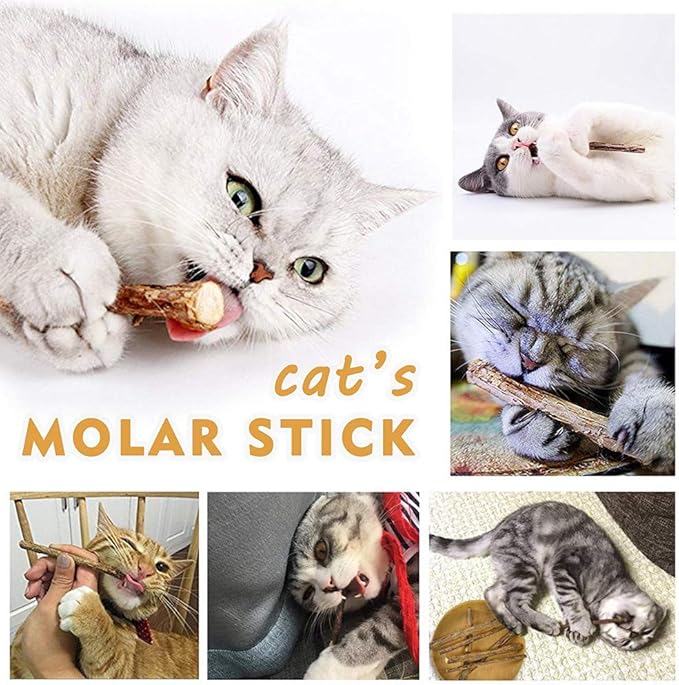 20 PCS Cat Catnip Sticks Natural Matatabi Silvervine Sticks - Cleaning Teeth Molar Tools Kitten Chew Toy Natural Catnip Cats Toy