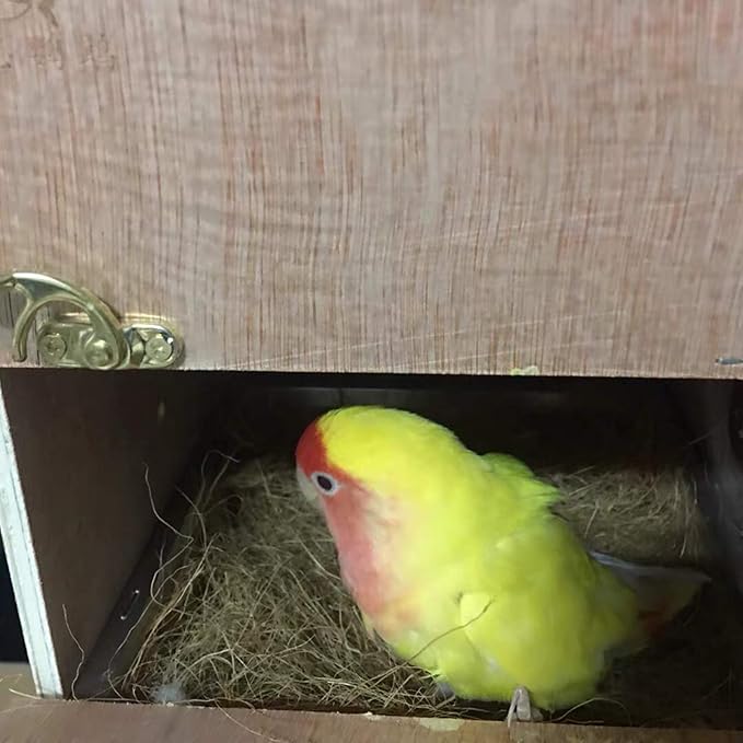 Coconut Fiber, 9oz. Comfortable Bedding for Small Birds and Animals, Nest Material for Nest Building, Hideouts, Plants and Upholstery