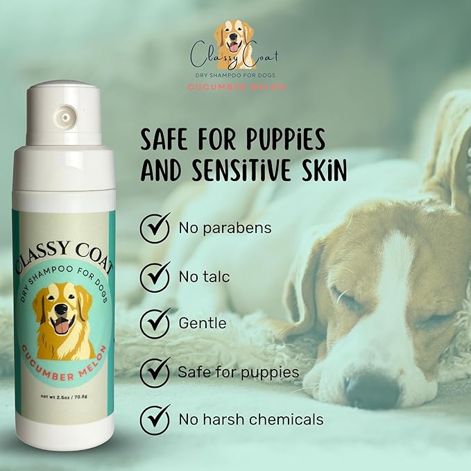 Dry Shampoo & Coat Deodorizer for Dogs (Cucumber Melon) | Waterless No-Rinse Squeeze Bottle Powder Formula | Calming Lavender Scent | Talc and Alcohol Free | Safe for Sensitive Skin | Made in USA
