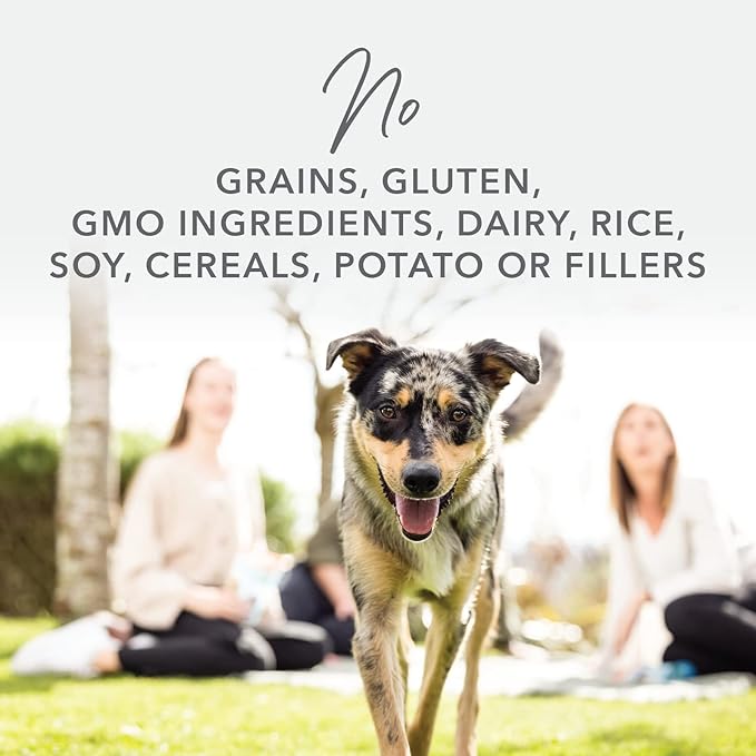 K9 Natural - Grain Free Freeze Dried Dog Food - Chicken, 4lb