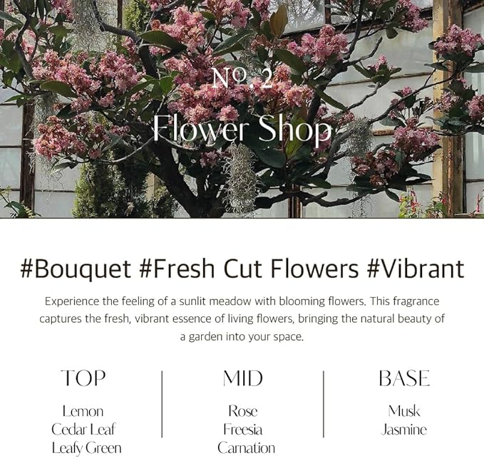 hetras Premium Reed Diffuser Set 16.9 fl.oz. 2 Pack | Flower Shop - Flowers & Green Grass Scent | Long-Lasting Luxury Fragrance with 10 Reed Sticks for Home & Office | Gifts for Loved One