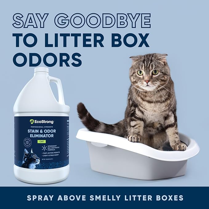 Cat Stain And Odor Remover| Enzyme Urine Odor Neutralizer - Stain Remover for Carpet, Litter Boxes, Bedding, and Laundry [Citrus Scent Gallon Value Size]