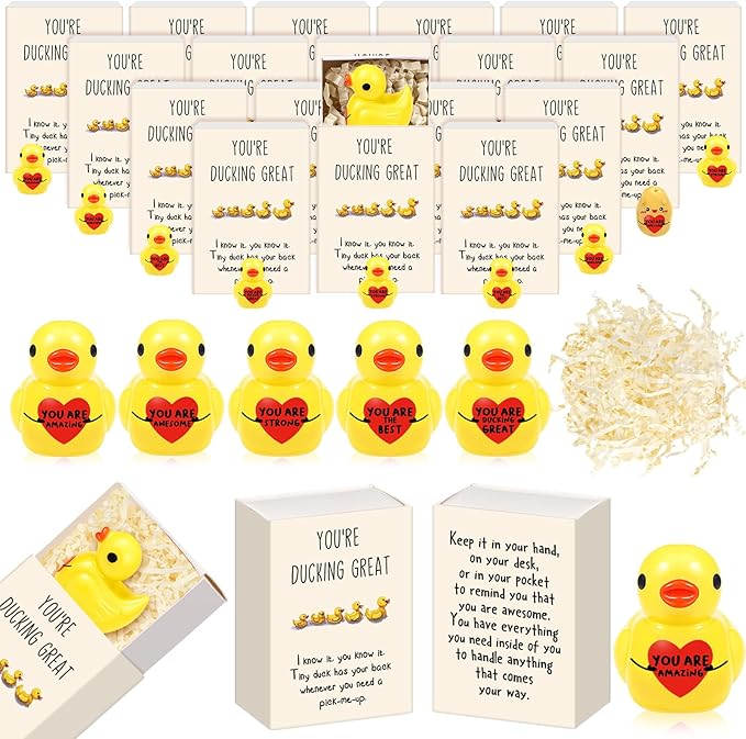 25 Set Employee Appreciation Gifts Bulk Coworkers Thank You Desk Pets Holiday Small Cute Emotional Support Resin Ornaments Card Box for Women Men Adults Office (Heart Duck)