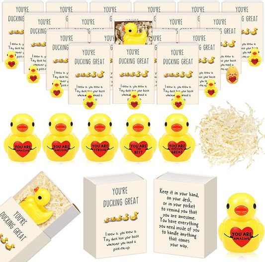 25 Set Employee Appreciation Gifts Bulk Coworkers Thank You Desk Pets Holiday Small Cute Emotional Support Resin Ornaments Card Box for Women Men Adults Office (Heart Duck)