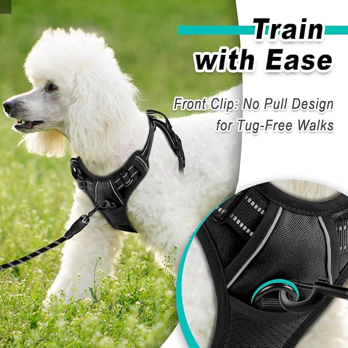 BARKBAY Dog Harness No Pull for Small Dogs - Adjustable, Reflective, Comfortable, No Choke, Heavy-Duty - Perfect for Outdoor Training, Walking, and Hiking - Strong & Durable - XS & Black